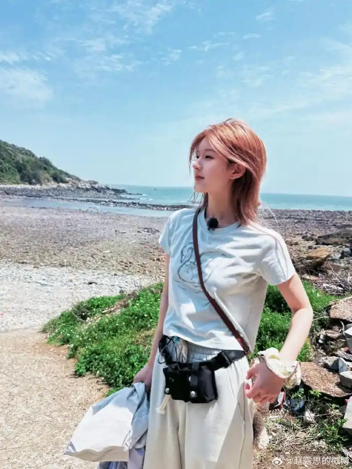 王晶揭赵露思与经纪公司闹翻真相：背后都是利益，一星公司是行业普遍现象