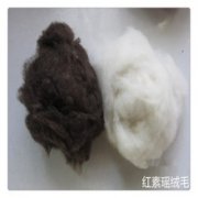 批发纯绵羊绒原料纺纱做被子专用包邮