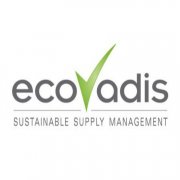 EcoVadis在线评估内容是什么？