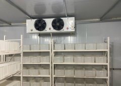 高价回收冷库冷库机组空调公司专业二手回收
