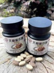 昭通纯天麻蜜环菌