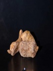 彝良干天麻伪品种类