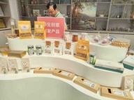 昭通乌红天麻新种植技术
