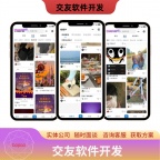 软件开发小程序开发app开发物联网开发源码搭建源码交付