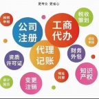 财税咨询记账报税出具审计报告