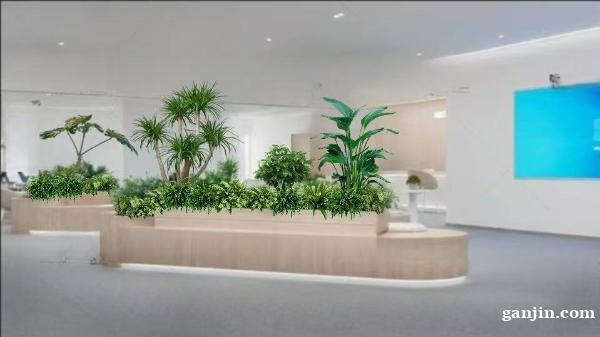 办公室绿植租摆花卉租赁 办公室绿植租摆花卉租赁